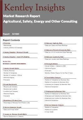 Agricultural Safety Energy Other Consulting Industry Market Research Report