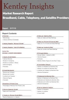 Broadband Cable Telephony Satellite Providers Industry Market Research Report