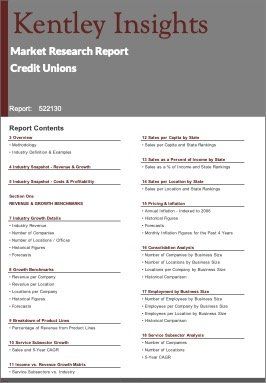 Credit Unions Industry Market Research Report