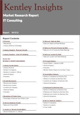 IT Consulting Industry Market Research Report
