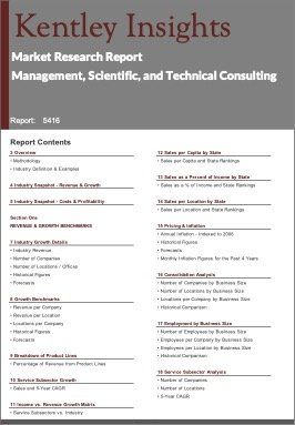 Management Scientific Technical Consulting Industry Market Research Report