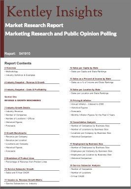 Marketing Research Public Opinion Polling Industry Market Research Report
