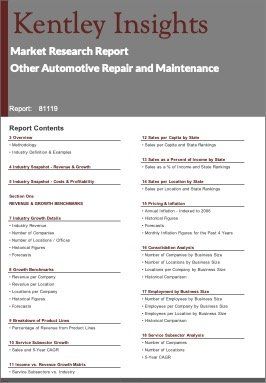 Other Automotive Repair Maintenance Industry Market Research Report
